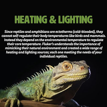 Fluker's Incandescent Reptile Lighting, Full Spectrum Daylight Bulb for Reptiles, Made with Neodymium, Provides Infrared Light, 60-Watt - size: 60 Watts
