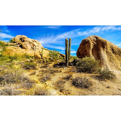 Desert Reptile Tank Background Saguaro Cacti Boulders Terrarium Backgrounds Rocks Fish Tank Background Rocky Bush Thorns Reptile Enclosure Backgrounds Bearded Dragon Tanks Backdrop 24x12in - color: Gobi Green, size: 24(W)x12(H)inches/ 60(W)*30cm(H)