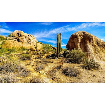 Desert Reptile Tank Background Saguaro Cacti Boulders Terrarium Backgrounds Rocks Fish Tank Background Rocky Bush Thorns Reptile Enclosure Backgrounds Bearded Dragon Tanks Backdrop 24x12in - color: Gobi Green, size: 24(W)x12(H)inches/ 60(W)*30cm(H)