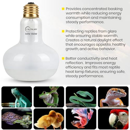 CALPALMY 4-Pack 150W Reptile Heat Lamp Bulb, UVA Daylight Basking Light for Reptiles, Bearded Dragon, Lizard, Turtle, Snake, Tortoise, Chicken – Flat Bottom Design, Long Lifespan, 120V E26 Base