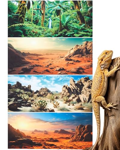 4 Pcs 36 x 18 Inch Reptile Habitat Background with Nano Glue Gobi Sun Cactus Stone and Green Tree Fern Stream Bearded Dragon Terrarium Background Polyester Durable Aquarium Accessories - color: Style1, size: 18 x 36 Inch