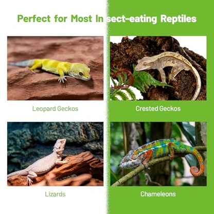 Gecko Food Insect Puree, Silkworm Paste Reptile Food Made with Fresh Insects