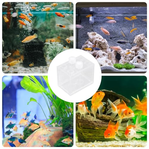 HOMSFOU Mini LED Light-up Acrylic Aquarium Kit, Small Desktop Terrarium with Full Spectrum LED Light, Creative Micro Aquatic Ecosystem for Home and Office Decor