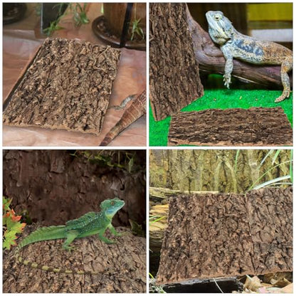 SHINEOFI Reptile Terrarium Bark Decor 4 Pack Natural Tree Bark Background for Reptile Tank Gecko Tank Decor Accessories 11.81 X 7.87 X 0.78 in Cuttable Habitat
