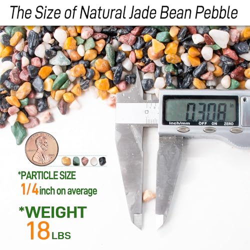 CJGQ 18lb Aquarium Gravel for Plants, 1/4Inch Fish Tank Gravel for Succulent Cactus and Bonsai, Decorative River Rocks Pebbles for Gardening, Flower Pots, Landscaping,Terrarium - color: Mixed Pebble, size: 18lb