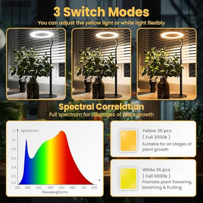 bseah Grow Light, Plant Stand Light for Indoor Plants 2 Pack, Full Spectrum Desk Grow Lamp with Pedestal, Automatic Timer for 3H/9H/12H, Height Adjustable - color: Black 2 Pack