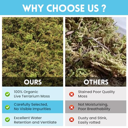 Riare 7 OZ Natural Sphagnum Moss for Reptiles, Terrarium Substrate Bedding | 6QT High Expansion, Moisture Retention, Helps Shedding, Long Fibered Dried Moss for Leopard Gecko, Snake, Frog, Turtle - color: 7 OZ