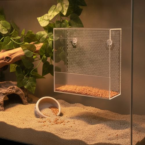 Clear Acrylic Wall-Mounted Feeding Dish with Suction Cups for Glass Terrariums, Reptile Food Bowl