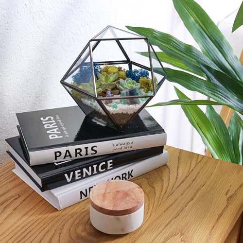 Creations by Nathalie DIY Geometric Glass Terrarium Kit with Live Plant | DIY geometric glass terrarium kit with live plant, moss, and tools for creating indoor terrarium displays with your plants. - color: Dodecahedron Black Frame
