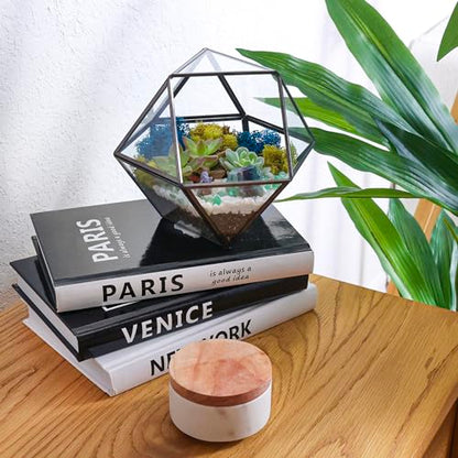 Creations by Nathalie DIY Geometric Glass Terrarium Kit with Live Plant | DIY geometric glass terrarium kit with live plant, moss, and tools for creating indoor terrarium displays with your plants. - color: Dodecahedron Black Frame