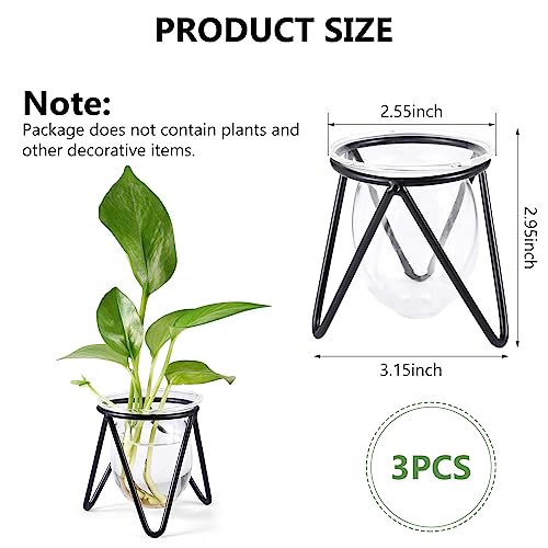 Jspupifip 3 Pcs Glass Plant Terrarium with Metal Stand | Air Plants Holders, Hydroponic Plant Vases, Desktop Bulb Glass Vase, Home Office Decor