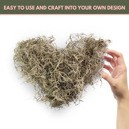 Mossify Spanish Moss, 150g 5.3Oz, Natural Dried Preserved | Plants, Indoor & Outdoor, Crafts, Terrariums, Floral Arrangements, Garden & Home Décor, Humidity Retaining - size: 150g (5.3Oz)