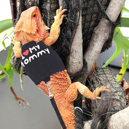 Small Animal Travel Backpack Carrier,Portable Bearded Dragon Bag for Sugar Glider,Hedgehog,Rat,Bunny,Rat,Outdoor Used (Black, Carrier L+ I Leash) - color: Black