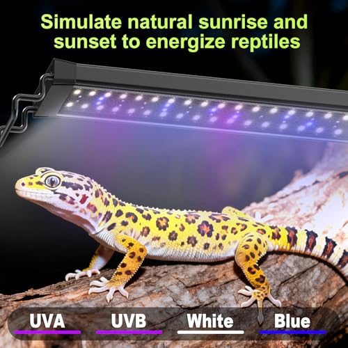 8W LED UVB Light for Reptiles Terrarium Light Extendable Reptile Tank Light with Controller ＆Dimming and 5 UVI Modes Full Spectrum Brilliant White Blue Red Lights for Bearded Dragon, Gecko - size: 8W-10IN