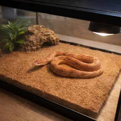 6-Pack Natural Coconut Fiber Reptile Carpet, 12x12 Inch Eco-Friendly Terrarium Liner & Bedding for Lizard, Snake, Turtle, Tortoise, Bunny Habitat