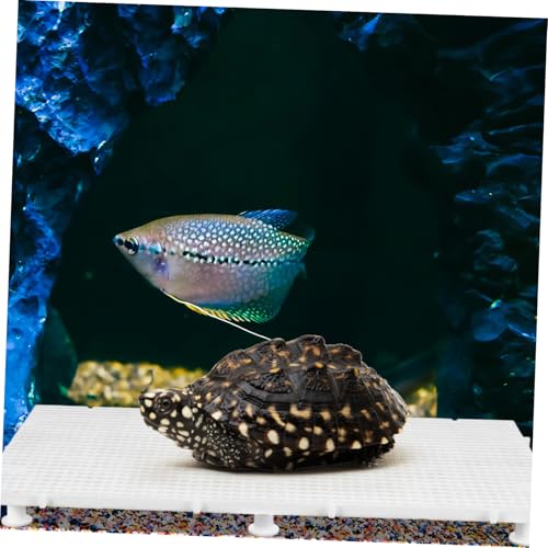 Fish Tank Divider Clips Aquarium Tunnel Divider Fish Tank Supplies Reptile Basking Platform