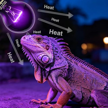 Reptile Night Heat Bulb, 100W Heating Lamp Bulbs Without UVA for Bearded Dragon, Lizard, Snake, Turtle, Chameleon - 2 Pack