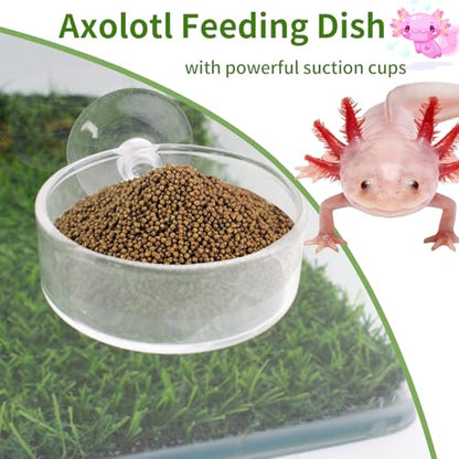 Axolotl Hammock Ledge for Aquarium and Feeding Dish with Suction Cup, 2-in-1 Axolotl Tank Accessories Set, Axolotls Transparent Acrylic Shelf Perch Hammock with Adhesive Pads, Aquarium Decor