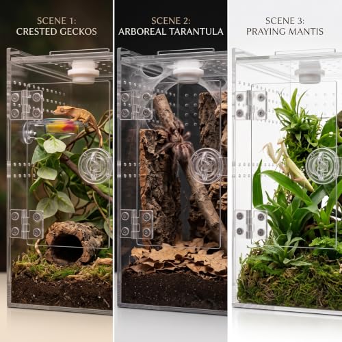 Tall Arboreal Tarantula Enclosure【𝐍𝐨 𝐀𝐬𝐬𝐞𝐦𝐛𝐥𝐲 𝐑𝐞𝐪𝐮𝐢𝐫𝐞𝐝】, Jumping Spider Enclosure, Front Above Opening, Cross Ventilation, Acrylic Arboreal Reptile Enclosure,Praying Mantis Enclosure - size: 6*6*9in