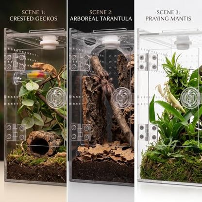 Tall Arboreal Tarantula Enclosure【𝐍𝐨 𝐀𝐬𝐬𝐞𝐦𝐛𝐥𝐲 𝐑𝐞𝐪𝐮𝐢𝐫𝐞𝐝】, Jumping Spider Enclosure, Front Above Opening, Cross Ventilation, Acrylic Arboreal Reptile Enclosure,Praying Mantis Enclosure - size: 6*6*9in