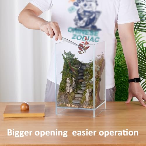 Large Glass Plant Terrarium: 13.7H+7.8W Terrarium with Light | Desktop Propagation Station for Succulent/Moss/Miniature Gardening Landscape/Betta Fish Tank