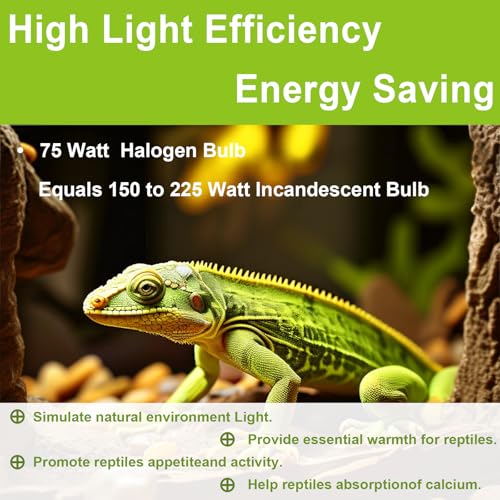 UVB UVA Reptile Light Bulb 75W Bulb for Reptiles and Amphibians Use for Turtle, Bearded Dragon, Lizard Cages Heat Lamp Replacement Bulb, Pack of 6