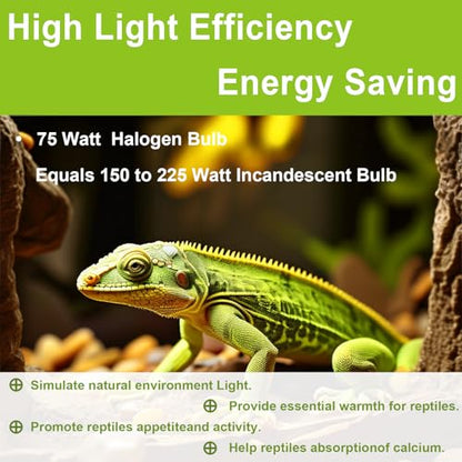 UVB UVA Reptile Light Bulb 75W Bulb for Reptiles and Amphibians Use for Turtle, Bearded Dragon, Lizard Cages Heat Lamp Replacement Bulb, Pack of 6