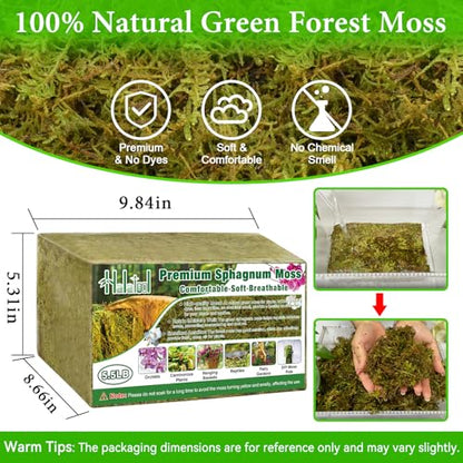 Halatool 5.5 LB Natural Green Forest Moss, Long Fiber Dried Sphagnum Moss | No Dyes, Water Retention & Areation, Dried Orchid Moss for Potted Plants Indoor & Outdoor, Orchids Repotting, Terrariums - size: 5.5 lb