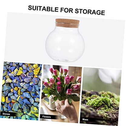 Abaodam Glass Fish Keeping Bottle Lid Transparent Desktop Terrarium for Landscape and Moss Plants Decor and Creative Idea - size: 17.00X14.50X14.50CM
