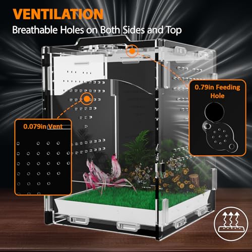 Acrylic Jumping Spider Enclosure, Insect Terrarium, Praying Mantis Habitat, Bug Enclosure, Arboreal Tarantula Enclosure Kit, Reptile Cage, Scorpion Lizard Tank