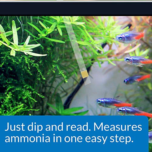 API AMMONIA TEST STRIPS Freshwater and Saltwater Aquarium Water Test Strips 25-Test Box - style: Aquarium Water Testing