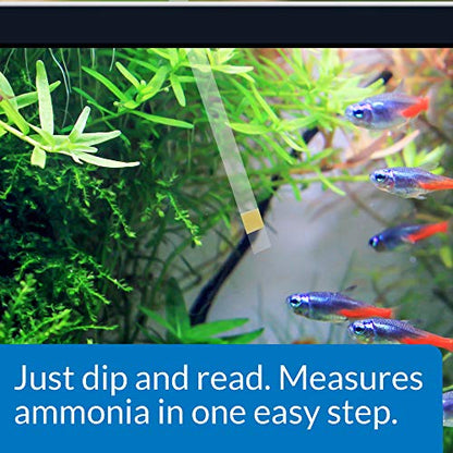 API AMMONIA TEST STRIPS Freshwater and Saltwater Aquarium Water Test Strips 25-Test Box - style: Aquarium Water Testing
