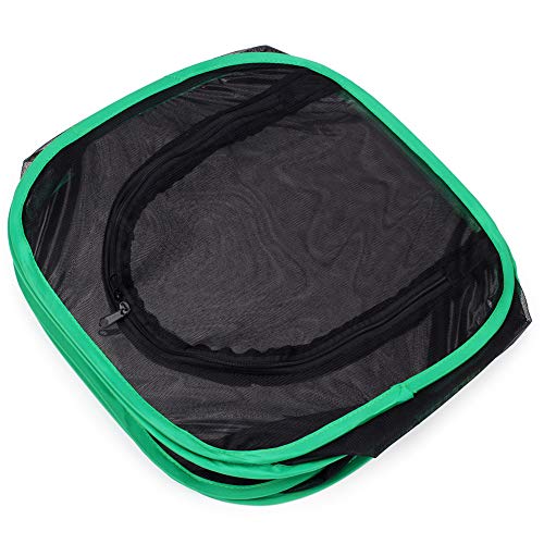 RESTCLOUD Insect and Butterfly Habitat Cage Terrarium Pop-up 12 X 12 X 12 Inches - color: Black With Green, size: 12 x 12 x 12 inches