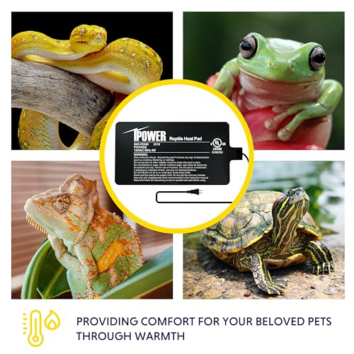 iPower 4X7 Inch Reptile Heating Pad and Digital Heat Mat Thermostat, Terrarium Heat Mat for Amphibious Pets - size: 4" X 7", style: Heat Pad