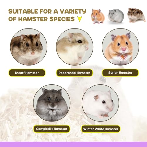 Hamster Tunnel Hideout Climbing Ladder for Burying in Hamster Bedding or Connecting with Hamsters Nut Stuff Hamsters Cage Accessories