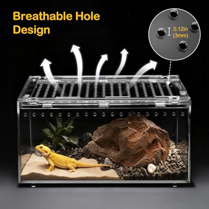 PC Small Reptile Terrarium Starter Kit,Magnetic Jumping Spider Enclosure,Hermit Crab Tank,Arboreal Tarantula Cage for Praying Mantis,Frog Vivarium,Lizard Container,Insect Housing,Gecko Habita