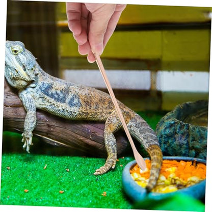 Kisangel 2Pcs Stainless Steel Reptile Food Spoon Long Handle Lizard Feeding Tool for Small Animals Durable and Easy Pet Feeding and Maintenance