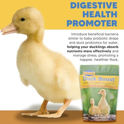 Duck Boost Probiotic - Probiotics, Vitamins, Minerals and Electrolytes for Chickens | Duck Vitamins and Supplements for All Poultry - 1lb - size: 1lb