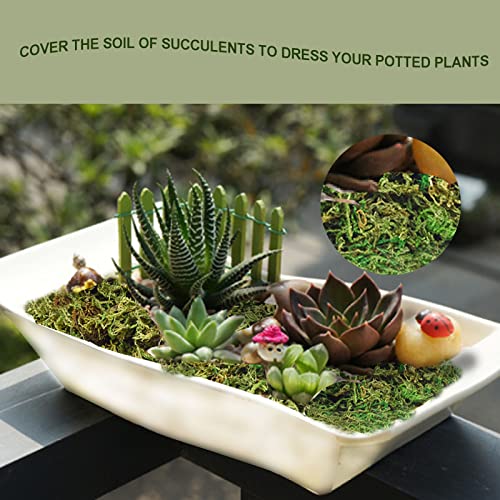 35 OZ Moss for Potted Plants Fake Moss for Fake Plants,Artificial Moss for Crafts,Faux Moss for Fake Plants Decroative Moss Artificial Green Moss