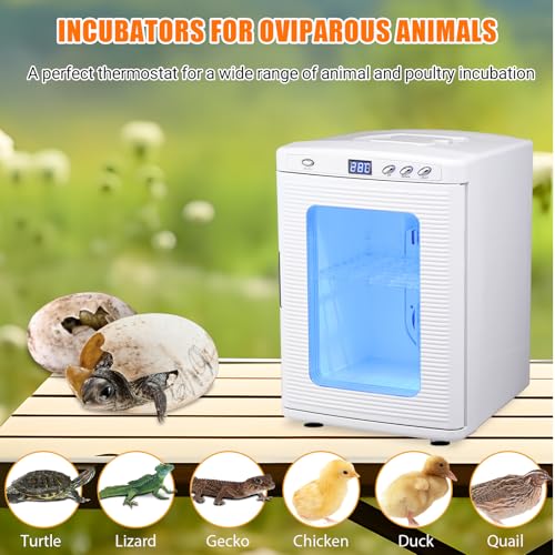 25L Reptile Incubator for Hatching Eggs - Portable Scientific Laboratory Incubator, Temperature Controlled 10°C-60°C for Small Reptiles, Cooling and Heating Digital Incubator, 12V/110V White - color: White