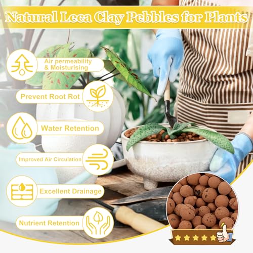 10LB Organic Leca Clay Pebbles for Plants, 4-16mm Natural Leca Ball | Reusable, Drainage, Aeration, Moisture Retention, Hydroponic, Lightweight for Orchids, Succulents, Terrarium, Indoor Plants - size: 10LB