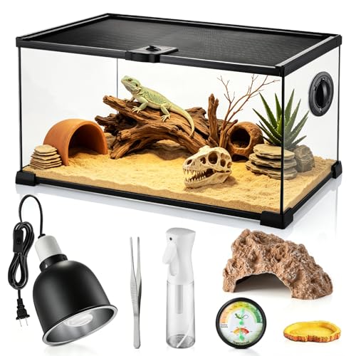 10 Gallon Reptile Terrarium Glass Kit 20" x 12" x 10" Starter Habitat for Tarantula, Succulents, Frogs, Gecko, Snake or Hermit Crabs, Tank with Escape-Proof Locking Lid - size: 10 gallon