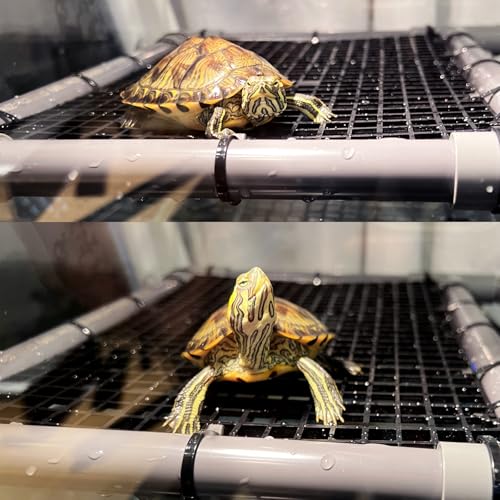 StellarOcean Extra Large Turtle Basking Platform for Aquatic Turtles Tanks Accessories Ramp, 13" Width Aquatic Turtle Basking Area Dock, PVC Material