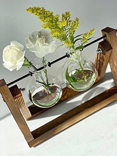Kingbuy Glass Desktop Planter with Retro Wooden Stand, 2 Bulbs | Plant Terrarium Vase, Indoor Office Desk Decor, Accessories - size: 2 Bulb Vase