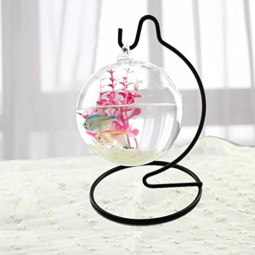 Artliving (6 Pack) 6 inch Small Ornament Display Stand, Iron Hanging Stand Rack Holder for Hanging Glass Globe Air Plant Terrarium, Witch Ball, Christmas Ornament and Home Wedding Decoration