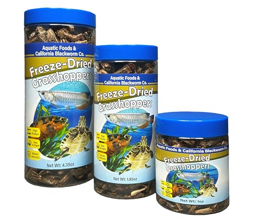 Grasshoppers, Freeze Dried Grasshoppers for Large Tropical Fish, Monster Fish, Reptiles, Turtles, Tortoises, Frogs, Hamsters, Birds, Rodents 4.3oz Canister - size: 4.3 Ounce (Pack of 1)