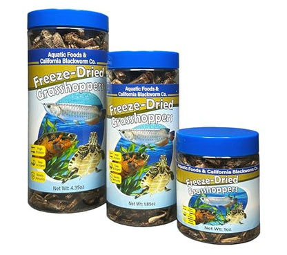 Grasshoppers, Freeze Dried Grasshoppers for Large Tropical Fish, Monster Fish, Reptiles, Turtles, Tortoises, Frogs, Hamsters, Birds, Rodents 1.0oz Canister - size: 1 Ounce (Pack of 1)