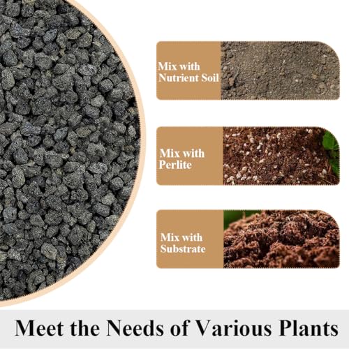 Black Horticultural Lava Rocks for Plants, 5lb Succulents Cactus Bonsai Soil Volcanic Rocks for Aquarium Outdoor Decorative Stones for Craft Projects, Vase Fillers - color: Black Lava Rock, size: 5 Pounds