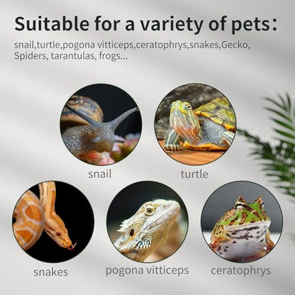 Reptile Glass Terrarium Tank 12"*8"*6",Small Cage Full View with Top Screen Ventilation Habitat Enclosure for Tarantula,Frog,Gecko,Insects,Spiders,Snakes,Hermit Crab,Turtle,Fish - size: 12*8*6inch