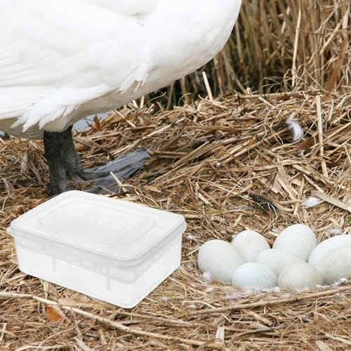 Reptile Egg Incubator Tray 16 Compartment Egg Hatching Box for Tortoise Lizard and Transparent Breeding Tray for Easy Observation 6.57 X 4.84 X 2.36 in 2 Pack